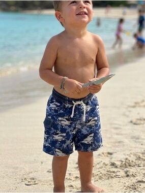 Quad Seven Toddler Boy 2T Swim Shorts with Drawstring